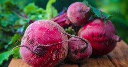 在微信上玩种菜小程序赚钱每天50元是真的吗?真为你推荐无门槛提现赚钱软件